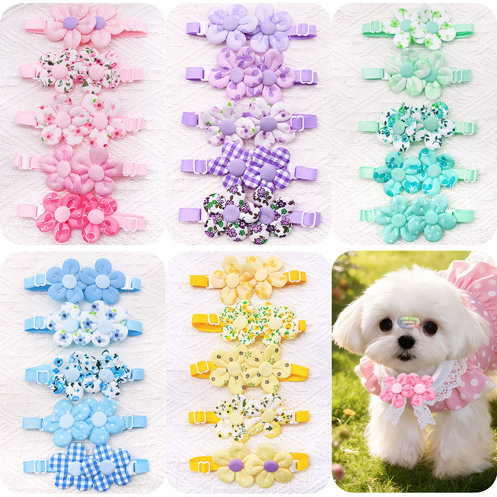 Pet Supplies Coupon - 10 Laços de Cachorro em Formato