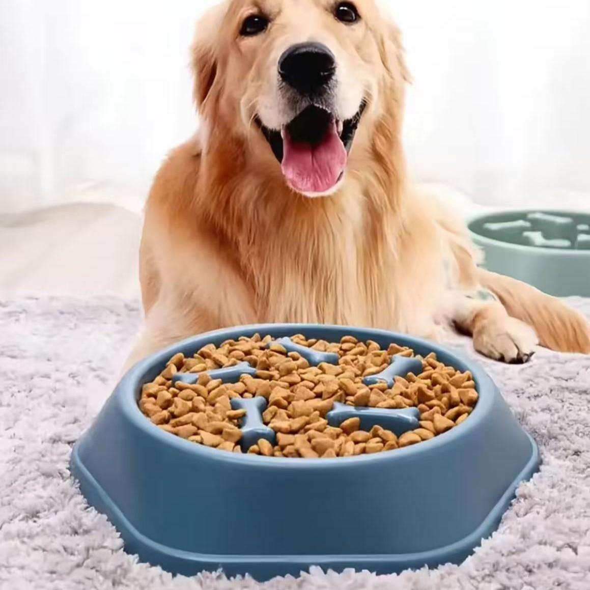 Slow Feeder Dog Bowl - Tigela Interativa para Alimentação Lenta, Design