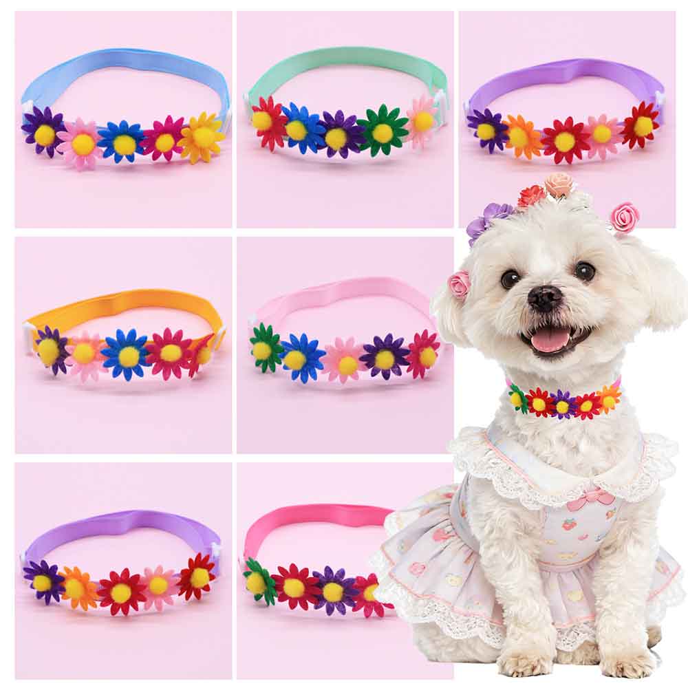 Pet Supplies Coupon - 50 Laços Coloridos para Cães, Acessórios