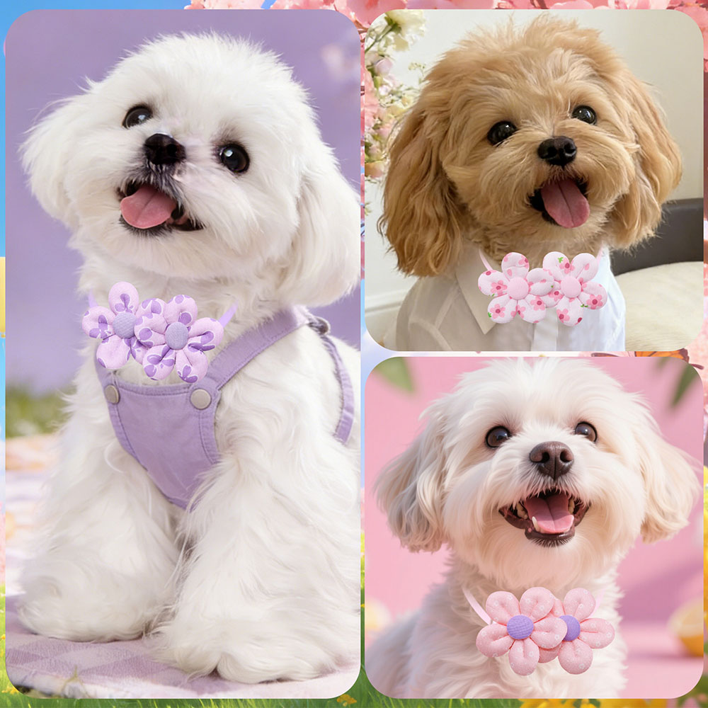 10 Laços de Cachorro em Format - Pet Supplies Coupon avaliação e preço