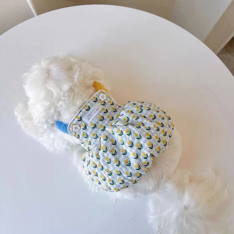 Roupas criativas de outono e i - Pet Supplies For Less avaliação e preço