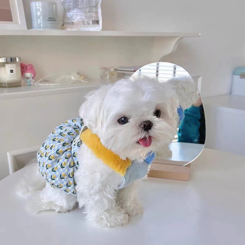 Roupas criativas de outono e i - Pet Supplies For Less avaliação e preço