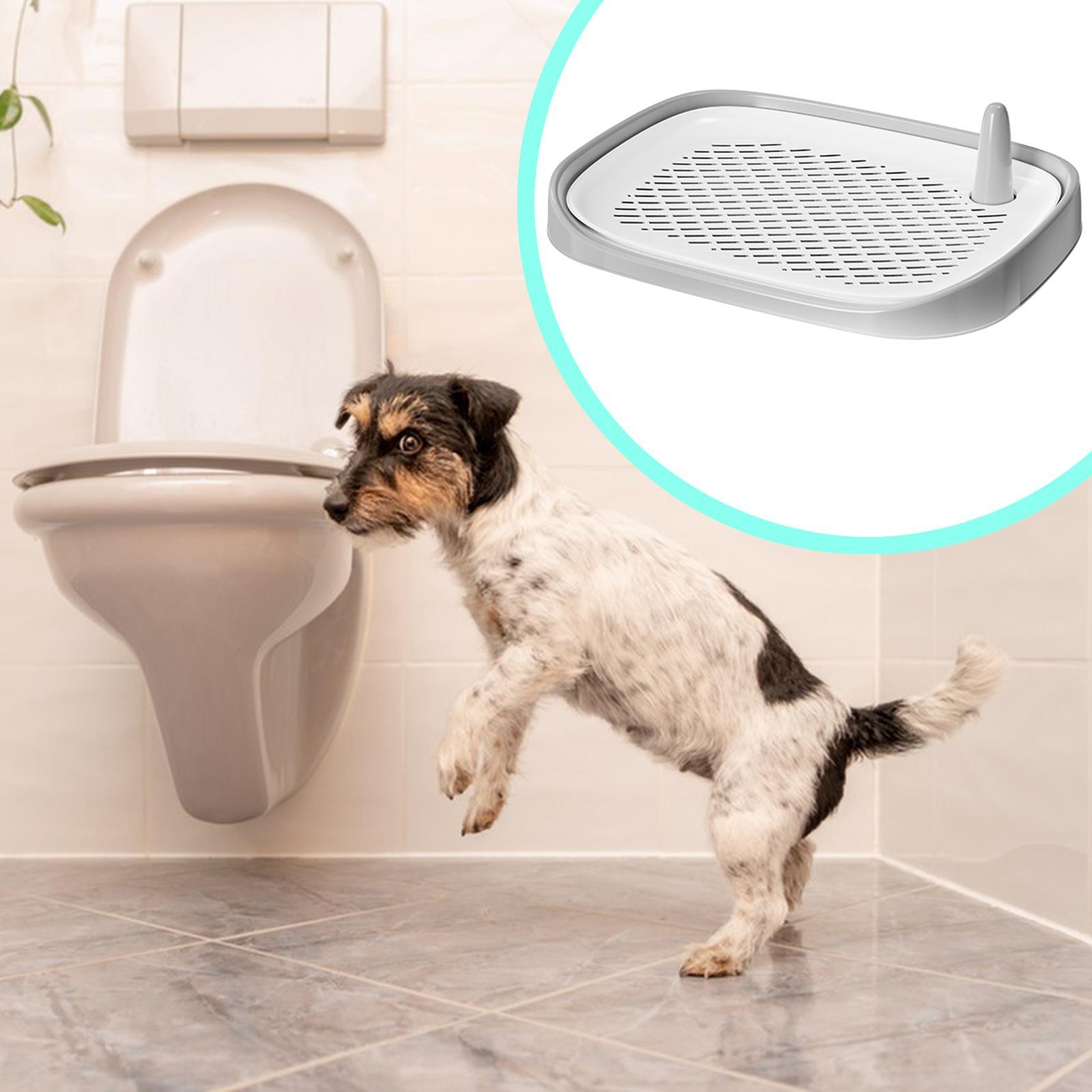 Tapete de Treinamento para Cãe - Pet Supplies For Less avaliação e preço
