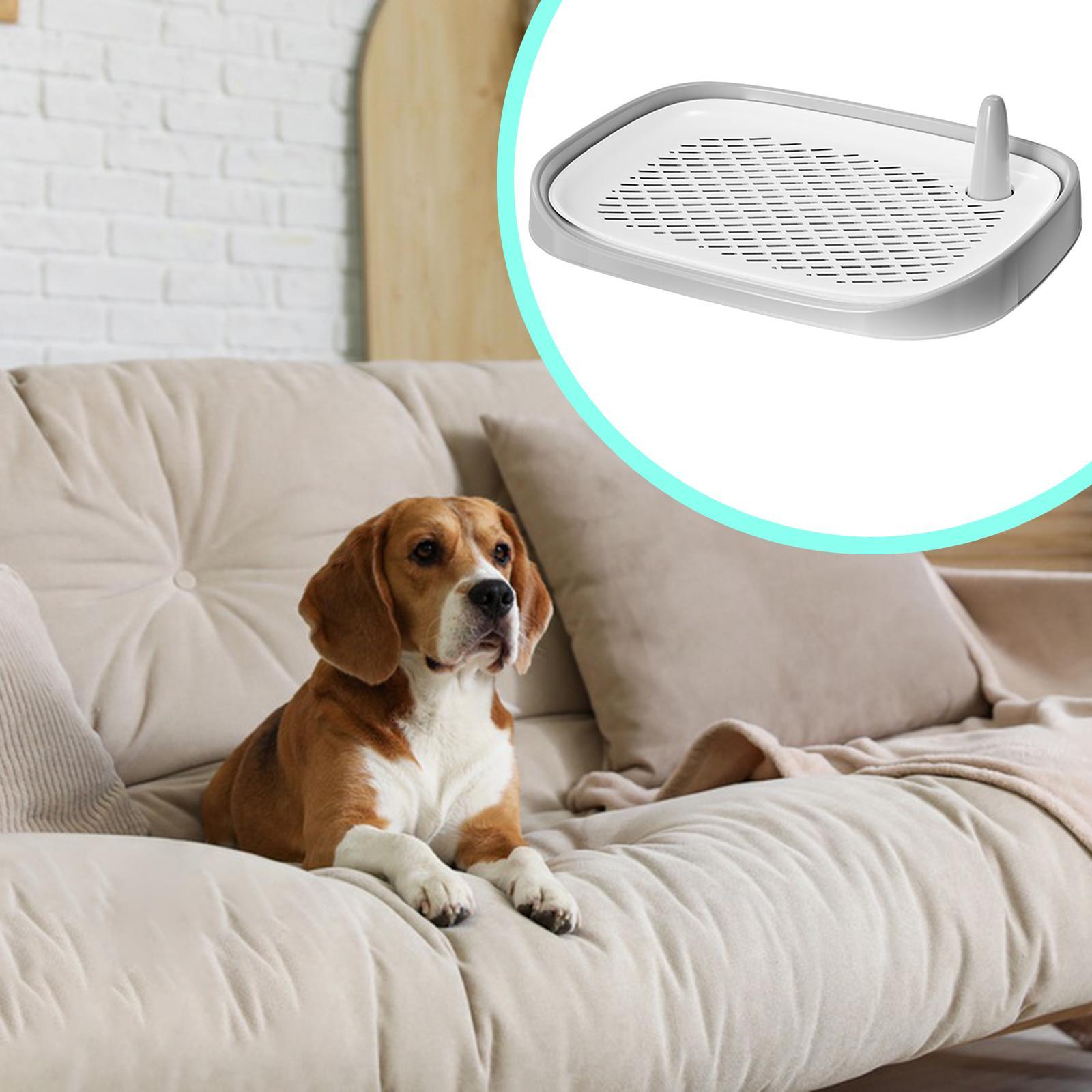 Tapete de Treinamento para Cãe - Pet Supplies For Less avaliação e preço