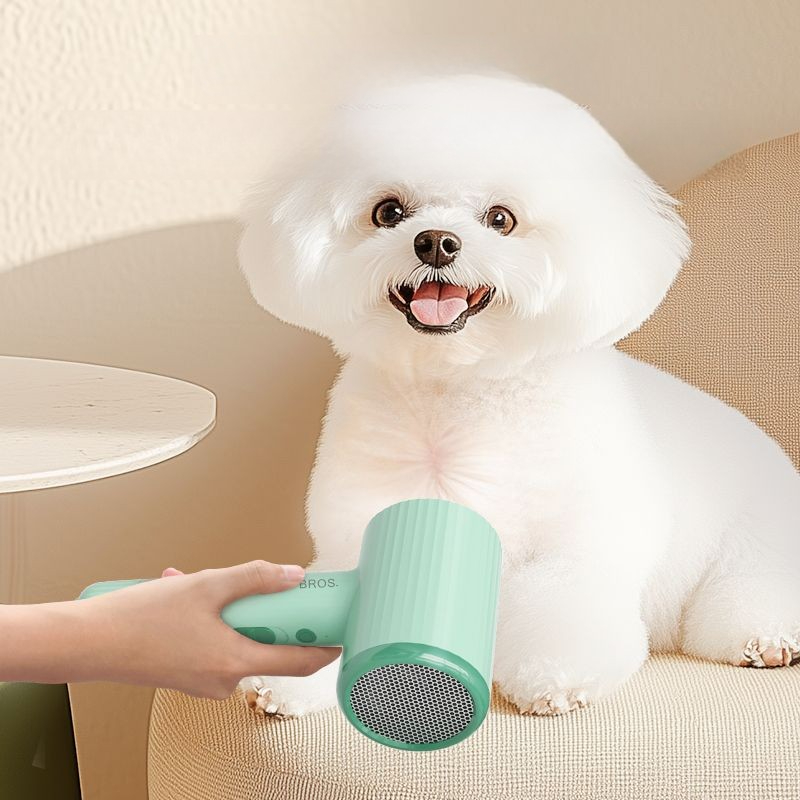 Profissional pet secador de ca - Pet Supplies For Less avaliação e preço