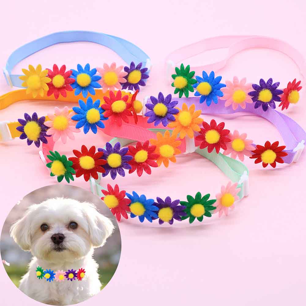 50 Laços Coloridos para Cães,  - Pet Supplies Coupon avaliação e preço