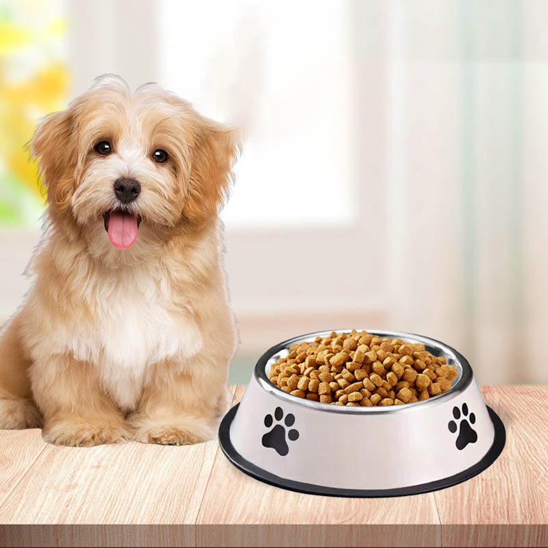 Aço inoxidável grande capacida - Pet Supplies Coupon avaliação e preço