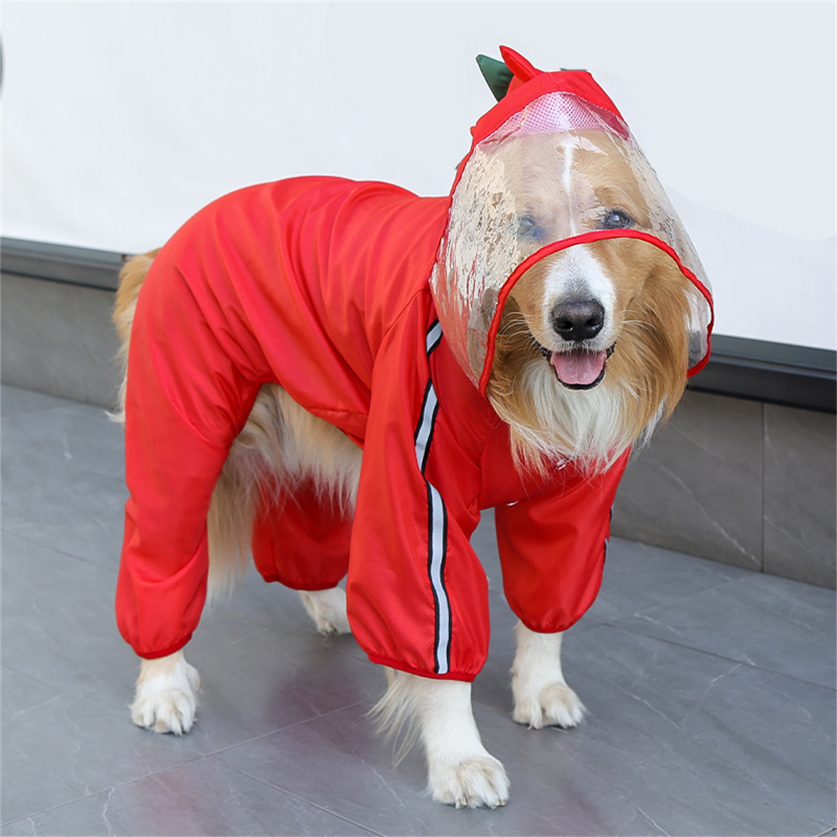 Capa de chuva para cães, à pro - Pet Supplies Coupon avaliação e preço