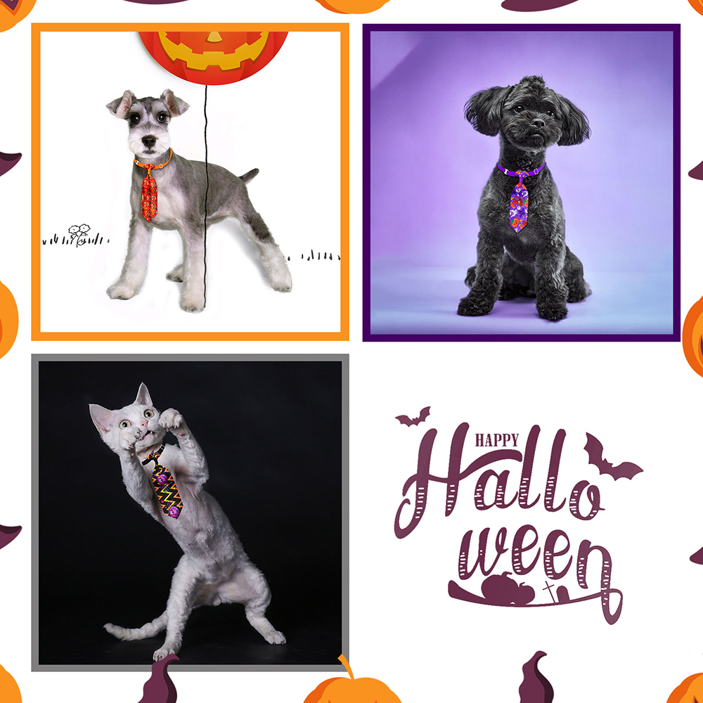 50/100 pçs halloween cão alici - Pet Supplies Coupon avaliação e preço