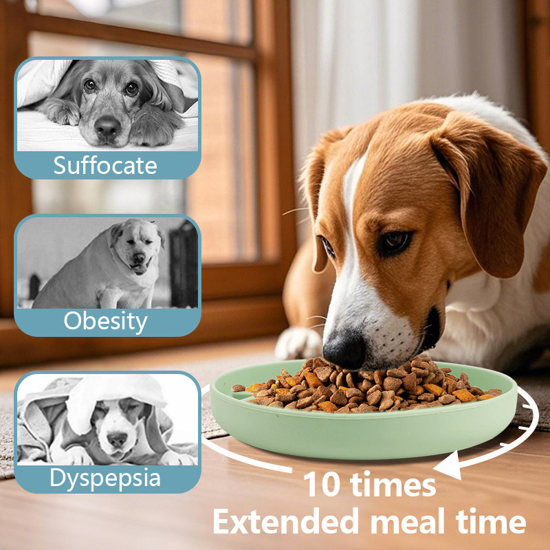 Tigela de Comida para Cães, Su - Slow Feeder Dog Bowl avaliação e preço