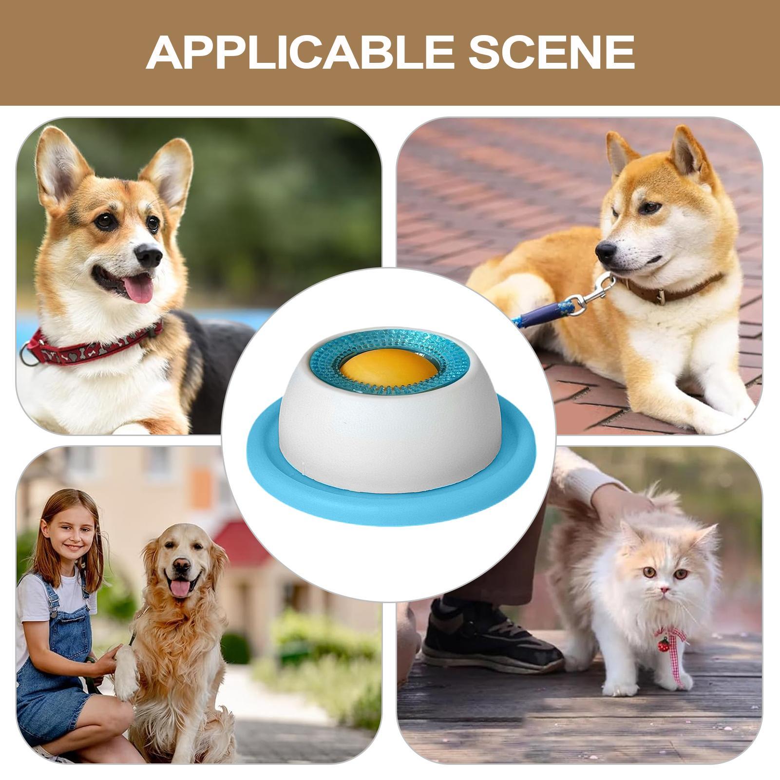 Brinquedo para Cães, Acessório - Slow Feeder Dog Bowl avaliação e preço