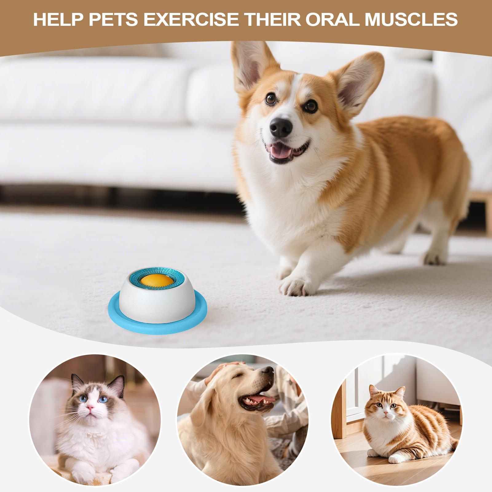 Brinquedo para Cães, Acessório - Slow Feeder Dog Bowl avaliação e preço
