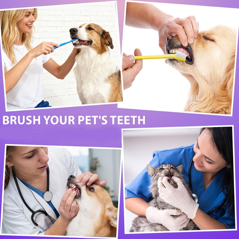 Ab66-ferramenta de higiene ora - Dog Paw Cleaner avaliação e preço