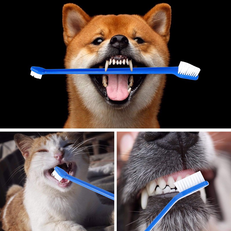 Ab66-ferramenta de higiene ora - Dog Paw Cleaner avaliação e preço